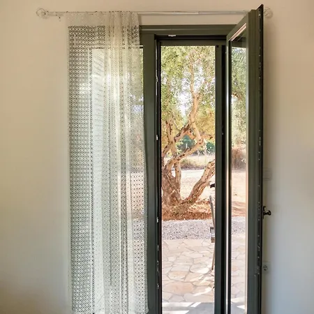 Olive Coast Tatil Evi *