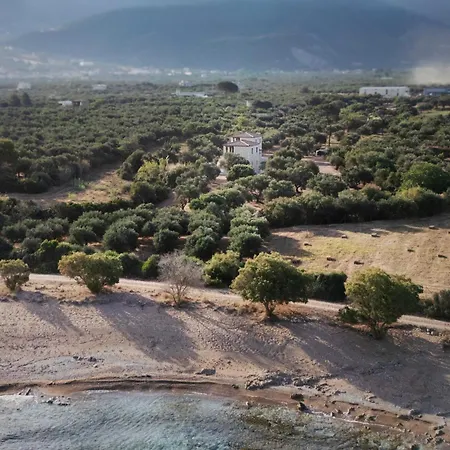 Olive Coast Kyparissia