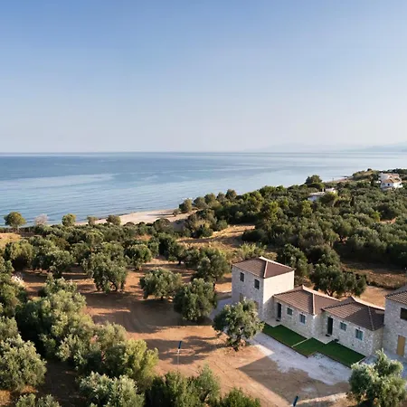 Olive Coast Tatil Evi *