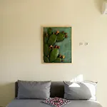Olive Coast
