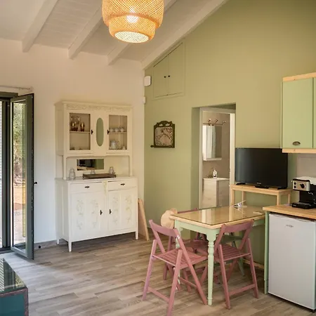 Olive Coast 基帕里夏