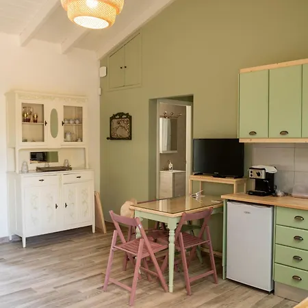 Olive Coast 基帕里夏