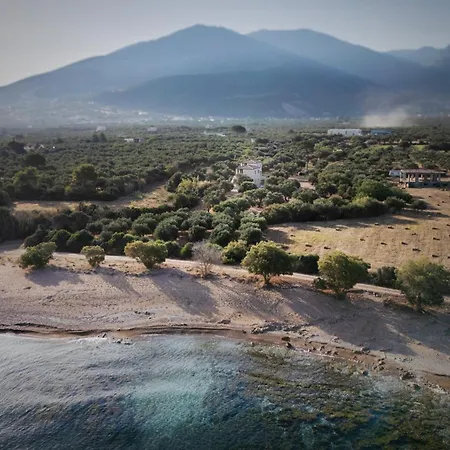 Vakantiehuis Olive Coast *
