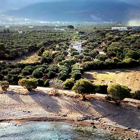 Olive Coast * Kyparissia
