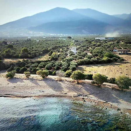 Olive Coast Kyparissia