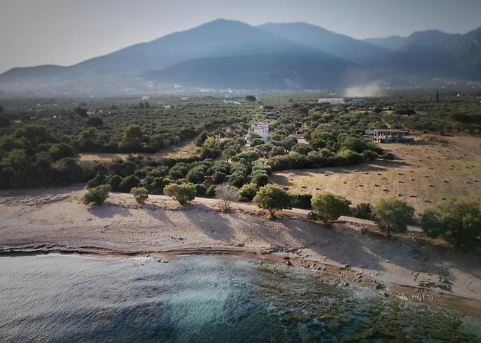 Casa de Férias Olive Coast *