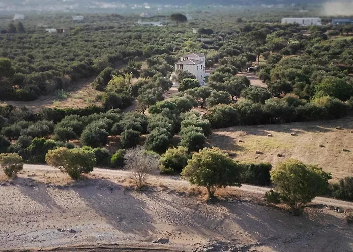 Olive Coast Kyparissia